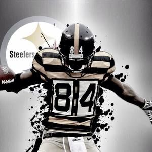 Meet your Posher, Tanner